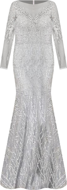 Women's Mermaid, Long Sleeve Lace Gown