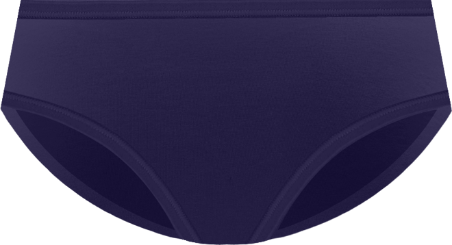 Women's So Stretchy So Good Perfect Fit Hipster Panty WRW253HP14J