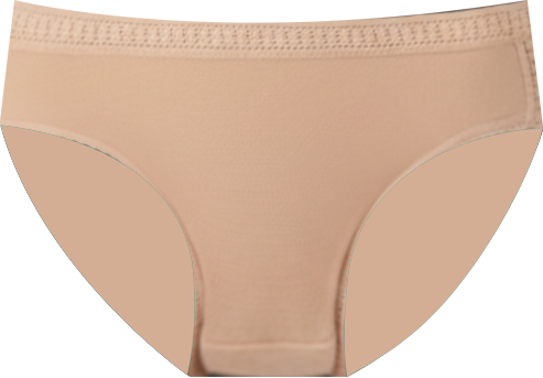 Women's Mesh High-Cut Brief Underwear 3012