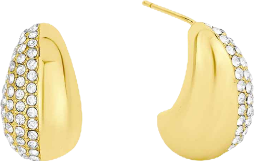 Crystal Chili Pepper Post Earrings