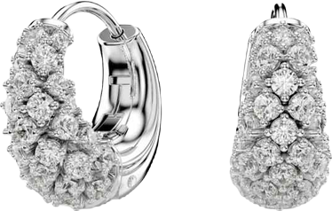 Sublima Rhodium Plated Earrings