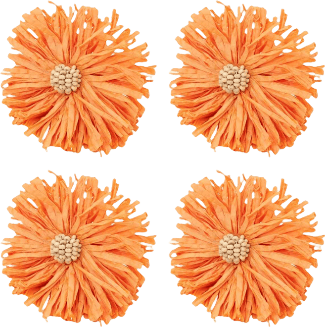 Raffia Charm Napkin Ring, Set of 4