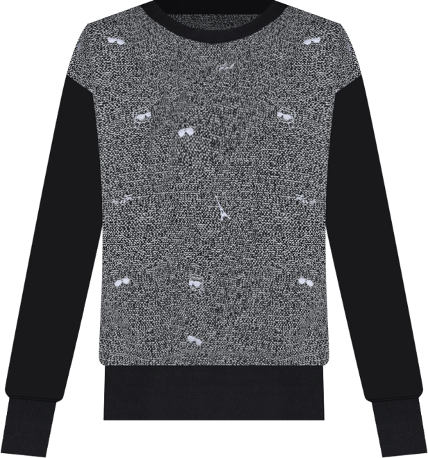 Women's Motif Crewneck Sweatshirt