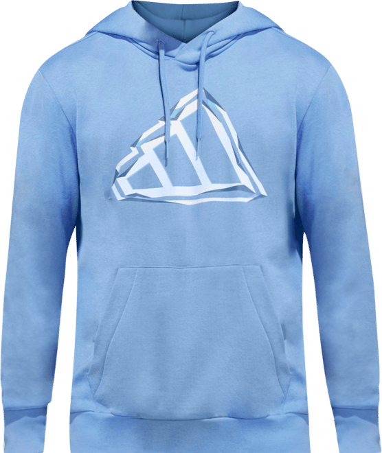 Men's Graphic Big Logo Sportswear Hoodie