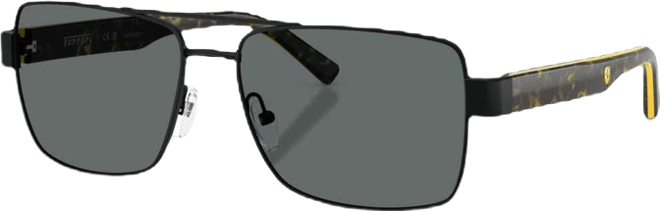 Men's Polarized Sunglasses, FZ5005