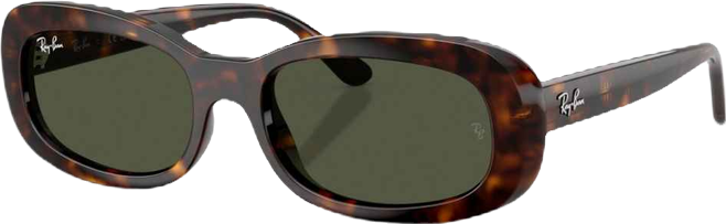 Women's Oval Sunglasses, RB2221