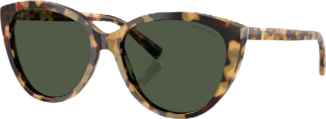 Women's Polarized Sunglasses, TF4251