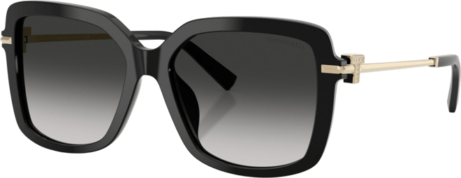 Women's Square Sunglasses, TF4252B