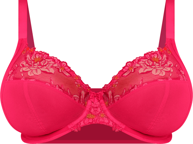 Women's Teagan Full-Figure Underwire Plunge Bra
