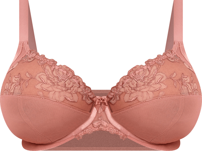Women's Teagan Full-Figure Underwire Plunge Bra