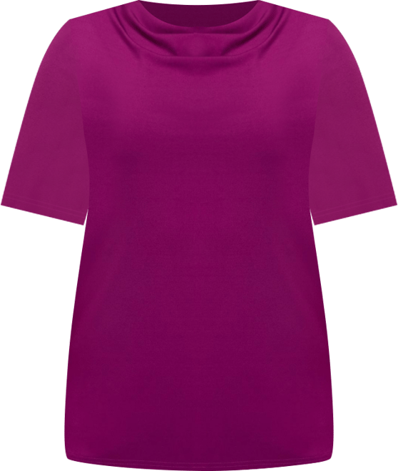 Women's Cowl Neck Short Sleeve Top