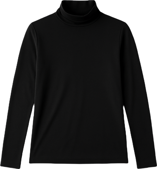 Women's Turtleneck Sweater, Regular and Plus