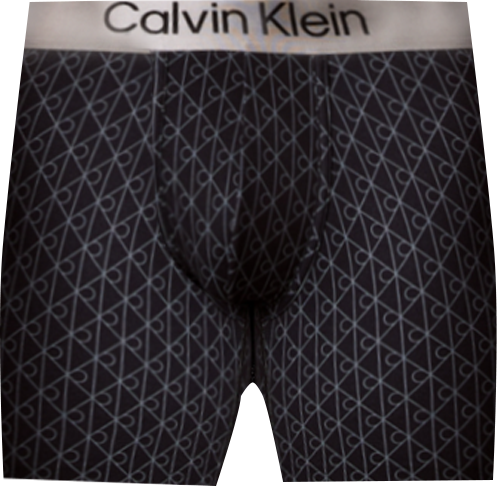 Men's Brushed Microfiber Stretch Boxer Brief