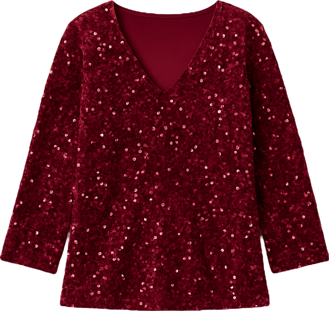 Women's Velvet V-Neck Top