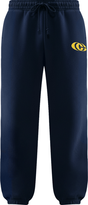 Women's Caitlin Clark Basketball Phoenix Pants