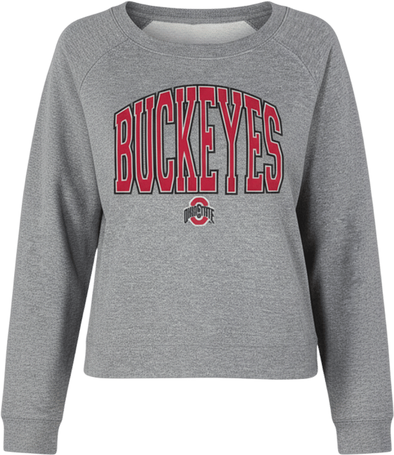 Women's Gray Ohio State Buckeyes Mainstream Terry Long Sleeve Top