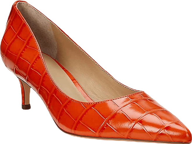 Women's Lanette Pointed Toe Pumps