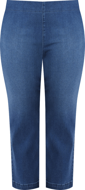 Plus Size Bailey Relaxed Ankle Pull On Jeans