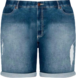 Women's Giana Ripped Short