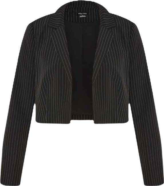 Women's Payton Pinstripe Jacket.