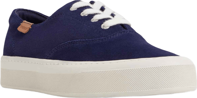 Women's Candy Cvo Lace Up Sneakers