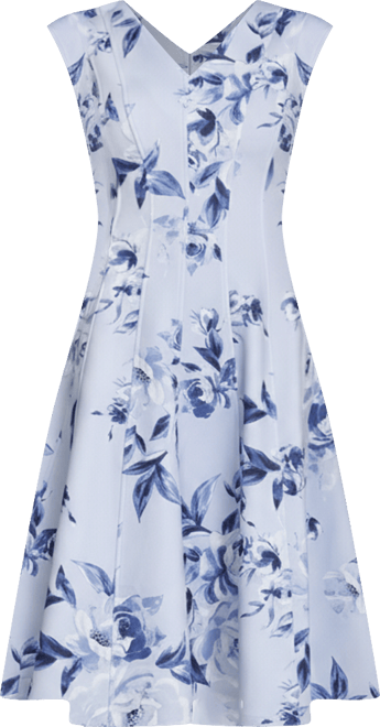 Women's Printed Fit and Flare V-Neck Dress