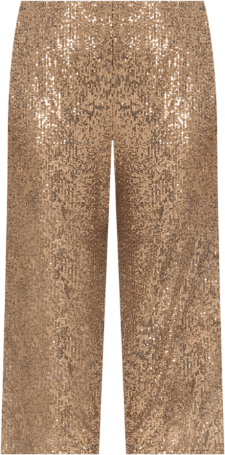 Plus Size Sequined Pull-On Pants