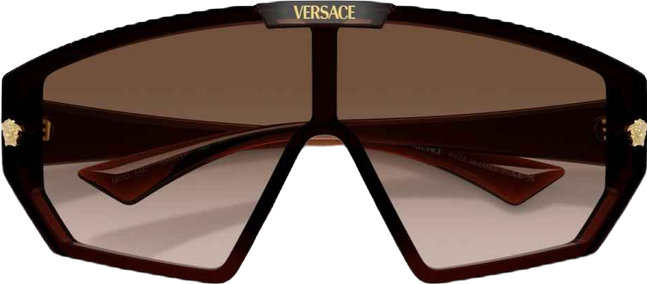 Men's Geometric Sunglasses, VE4461