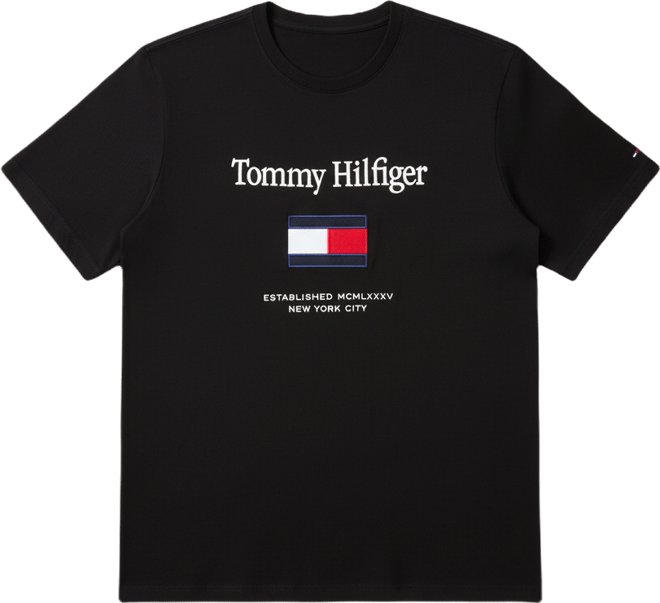 Men's Big & Tall Embroidered Flag T-Shirt