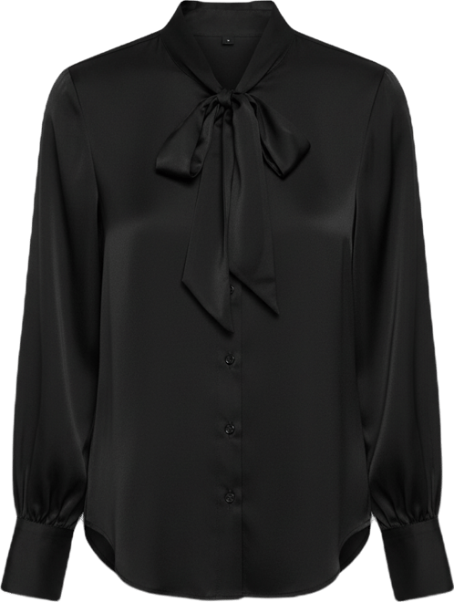 Women's Front Button Long Sleeve Blouse