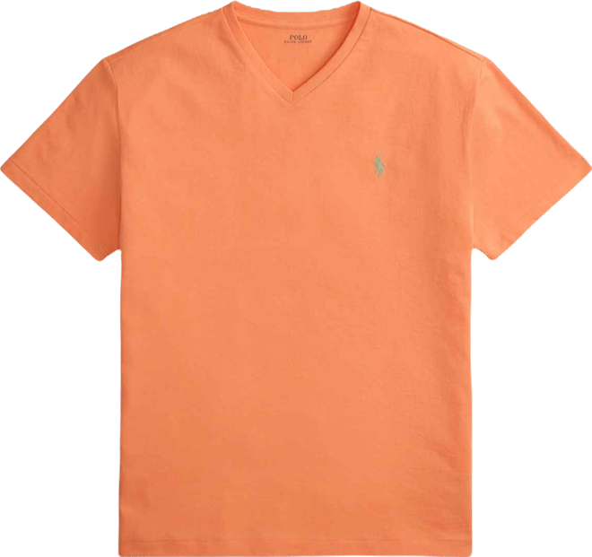 Men's Classic-Fit V Neck T-Shirt