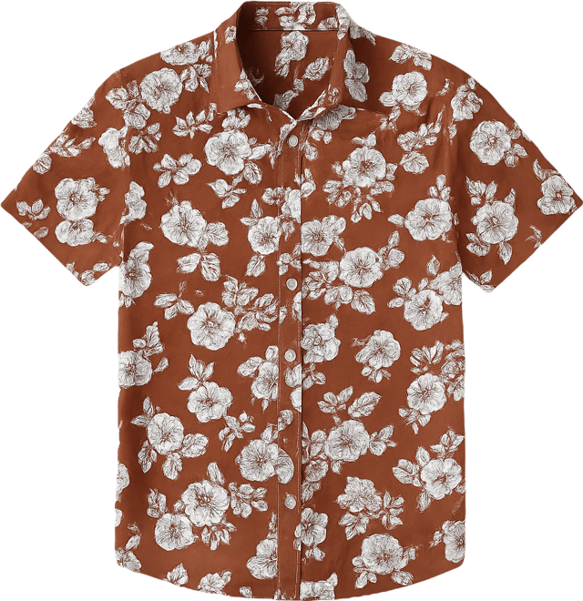 Men's Brown Printed Regular Fit Casual Shirt