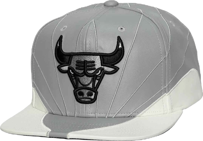 Men's and Women's Gray/White Chicago Bulls Day 12 Two-Tone leather Snapback Hat