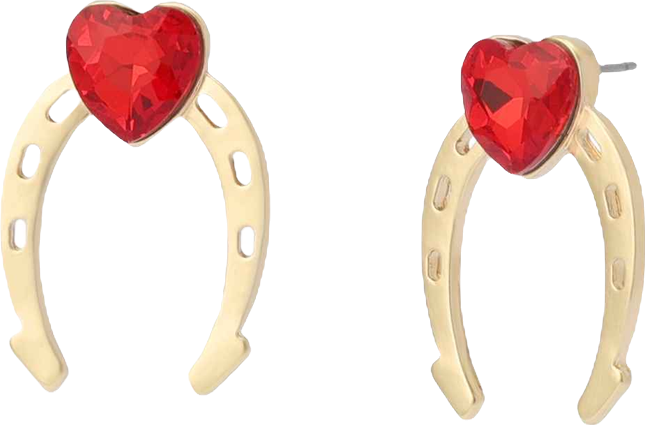 Faux Stone Horseshoe Stud Earrings
