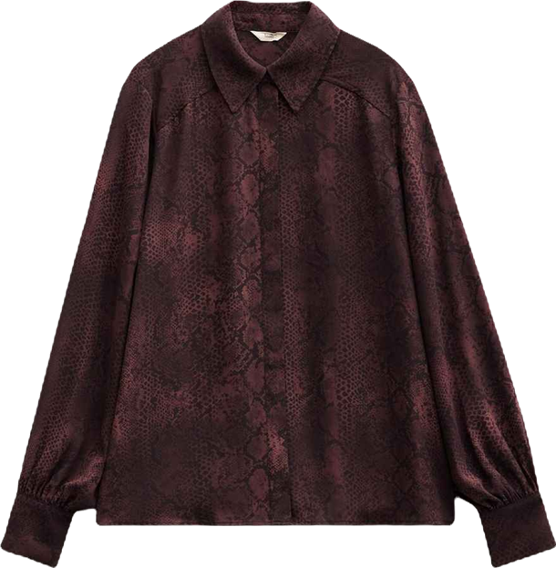 Women's Chiffon Printed Long Sleeve Shirt