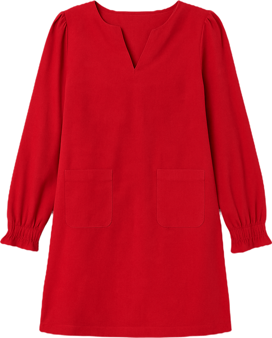 Women's Long Sleeve V-Neck Mini Dress