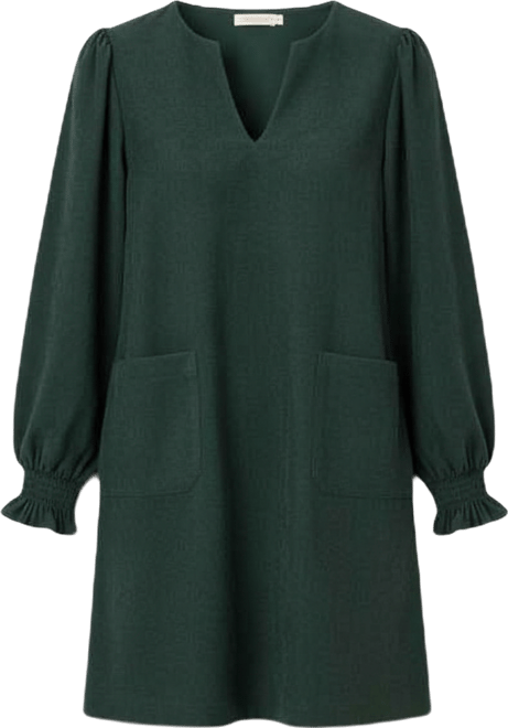 Women's Long Sleeve V-Neck Mini Dress