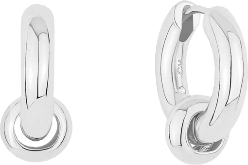 Ring Hinge Hoop Earrings