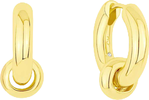 Ring Hinge Hoop Earrings