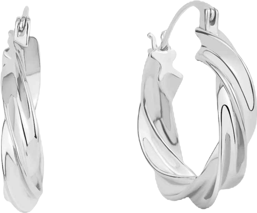 Twisted Hoop Earrings
