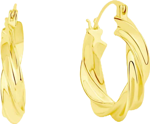 Twisted Hoop Earrings