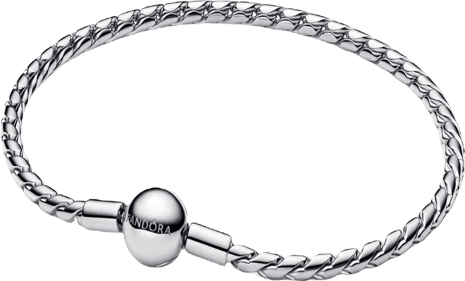 Round Clasp Wing Chain Bracelet