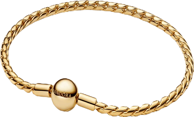 Round Clasp Wing Chain Bracelet