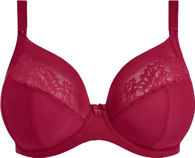Women's Nerina Full-Figure Underwire Plunge Bra EL302734
