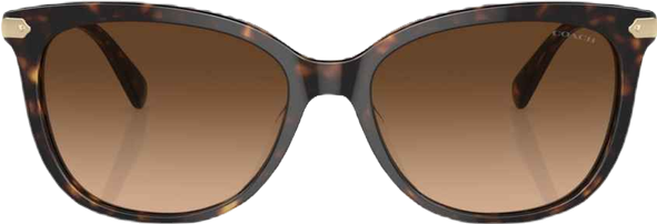 Women's CL926 Sunglasses, Gradient HC8378U