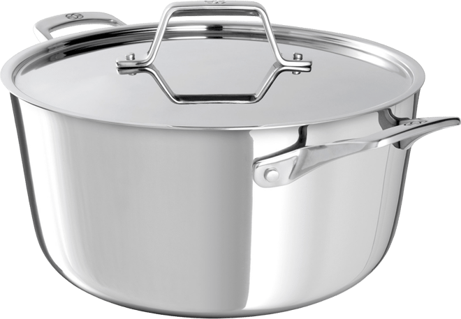 Premier Stainless Steel 6 Quart Stock Pot
