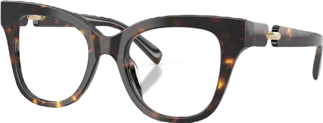 Women's Cat Eye Eyeglasses, TY2162U