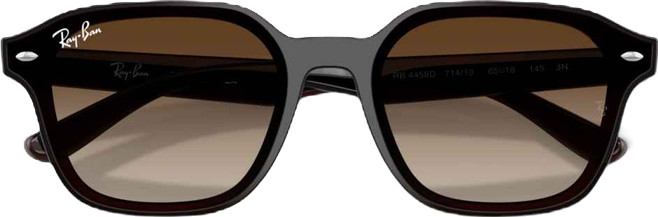 Unisex Large Sunglasses, RB4458D