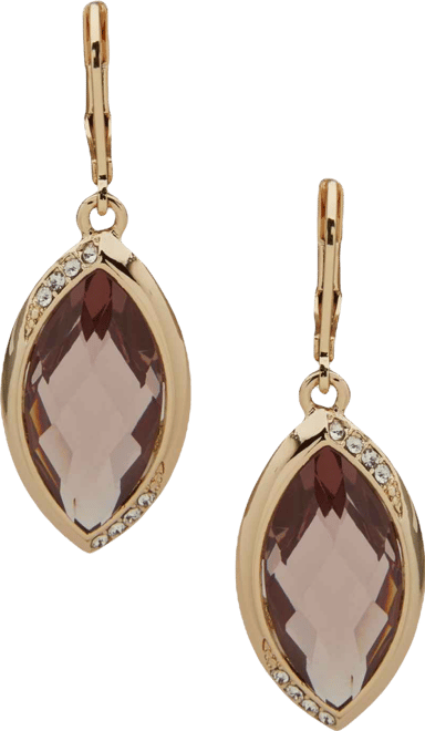 Plastic Glass Stone Drop Earrings