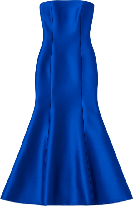 Women's Long Strapless Dress